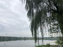 -国色天乡三期陆地乐园