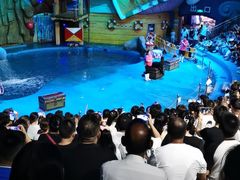 -烟台海昌鲸鲨海洋公园