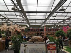 -老磨油饼(高陵店)