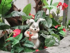 -南宫温泉水世界