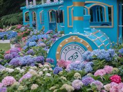 -上海滨江森林公园