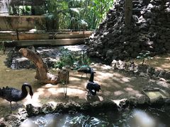 -卡塞拉自然公园