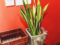 -思南书局(复兴中路店)