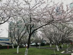 -西北湖绿化广场