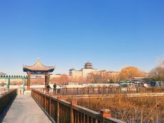 -莲花池公园