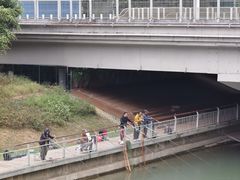 -福田红树林生态公园