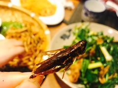 -滇越乘象云南餐厅(次渠店)