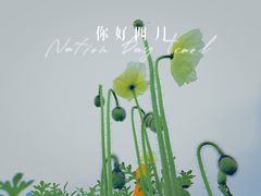 -上海辰山植物园