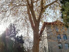 -山东大学(趵突泉校区)