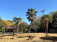 -常州淹城野生动物世界