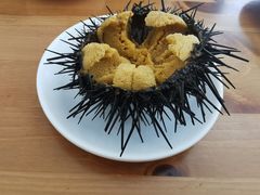 -海胆小馆(东北水饺·春柳店)