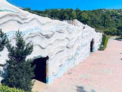 -广东惠东海龟国家级自然保护区