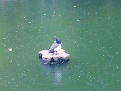 -昆明动物园
