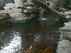 -森谷美食公园(杨行店)