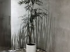 -二酉书店TOYOU BOOKS