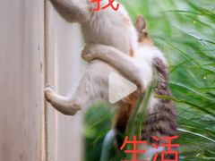 -明月山天沐温泉度假村