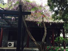 -北京市劳动人民文化宫(太庙)