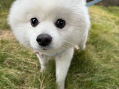 -天虹购物中心(深圳龙华店)