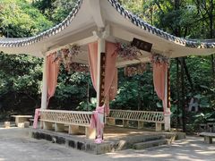 -清溪大王山森林公园