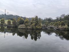 -张坝桂圆林公园
