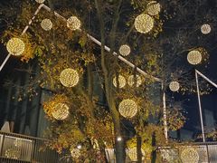 -白仁仔· 活烤海鲜 宵夜(豫园店)