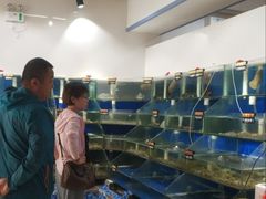 -雅逸居海鲜小厨