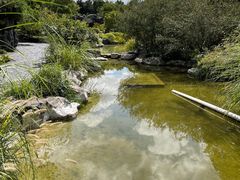 -上海吴淞炮台湾国家湿地公园