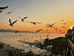 -深圳湾公园(南山区)