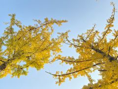 -两江幸福广场
