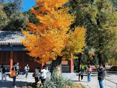 -潭柘寺景区