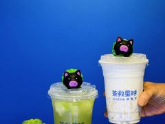 -茶救星球·蔬果茶(北京路旗舰店)