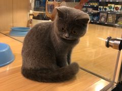 -百盛(莘庄店)