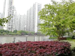 -苏州河梦清园环保主题公园