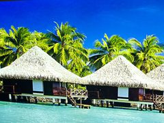 -泰妃殿(宏伊国际广场店)