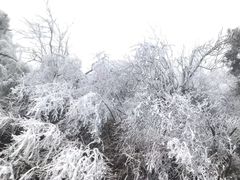 -井冈山风景名胜区