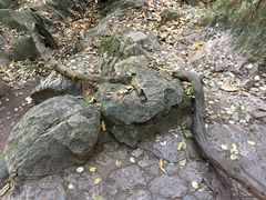-杭州西湖风景名胜区-三生石