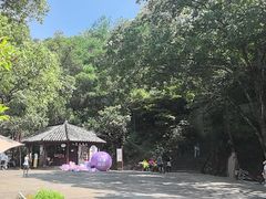 -大慈岩风景区