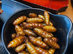 -雀舞云南菜(天津天河城购物中心店)