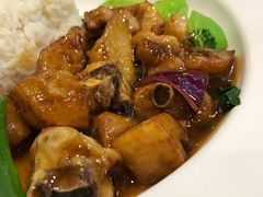 薯仔焖鸡饭-九龙湾茶餐厅(东门店)