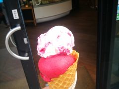 -Patagonia Chocolates(皇后镇店)