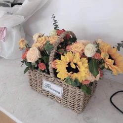 -WENDY·温迪皮肤管理