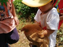 -竹语饭香·原生态农庄·烧鸡·竹筒饭·河鲜(森林海白水寨店)