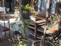 -甲乙丁書店·书茶咖·四合院