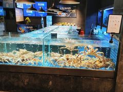 水产区-徐记海鲜(观沙岭|滨江新城店)