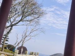 -青龙山公园