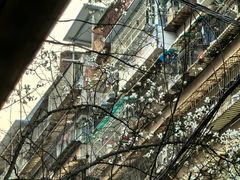 -SeekSeeking咖啡专门店(堰塘街店)