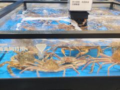 -盒马X会员店(王府井奥莱UP TOWN店)