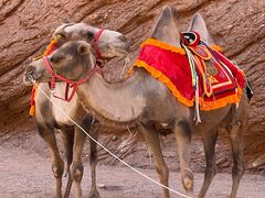 -天山神秘大峡谷