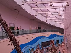 -陕西自然博物馆