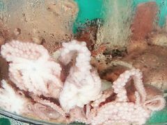 -沿海渔家院蒸汽海鲜·东北菜(东戴河店)